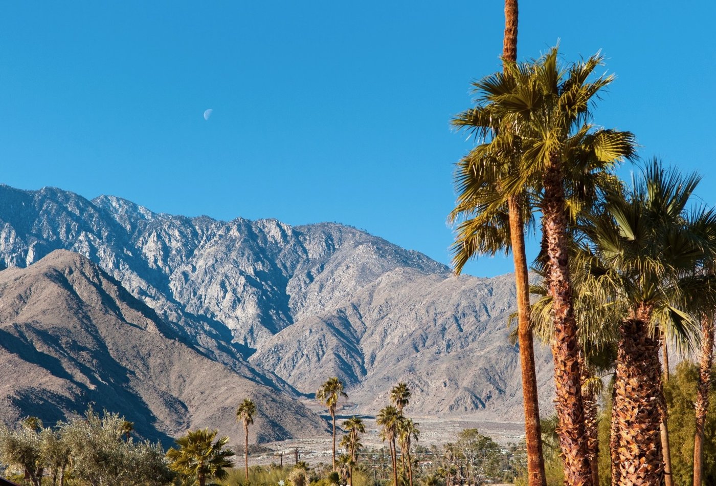 Palmeras y las Montañas San Jacinto en el Valle de Coachella