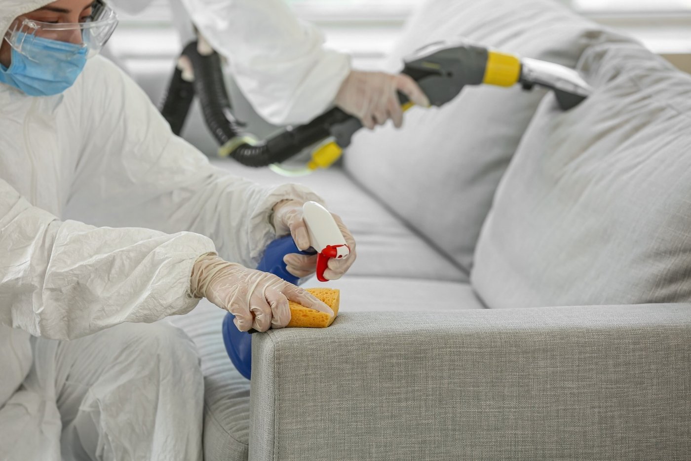 Técnicos limpiando cuidadosamente muebles tapizados